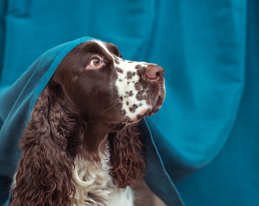 Question of the Week